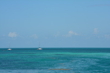 Fototapeta premium Plage The Split Caye Caulker Belize