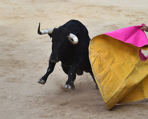 toro español