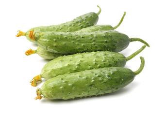 Green cucumber on the white background