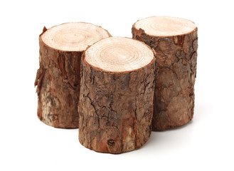 Pine logs on white background