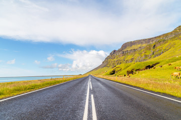 Wonderful landscape of Iceland