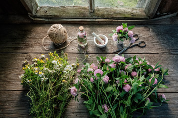 Pink clover, daisies and hypericum flowers, mortar, clover tincture or infusion, scissors and jute...