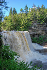 Profile of Blackwater Falls State Park West Virginia, framed by tree branches