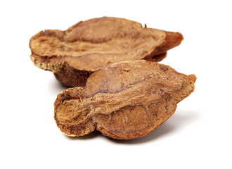 Dried raw betel or areca nut on white background