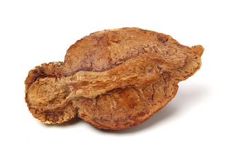 Dried raw betel or areca nut on white background