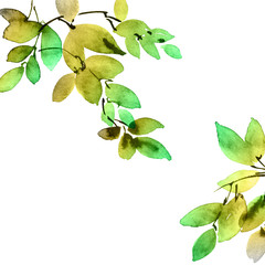 Watercolor tree leaves
