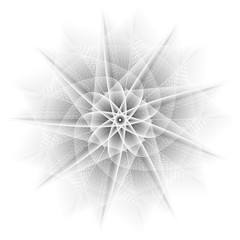 Fototapeta premium Holiday patterns of stars and flowers for gifts ground