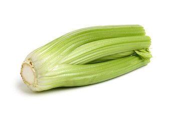  celery on a white background
