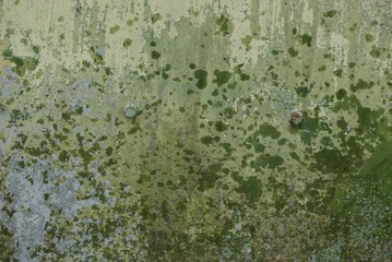 green gray metal texture of dirty and wet iron wall