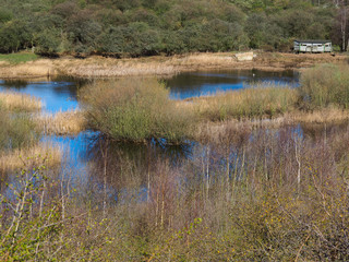 Wetlands, reeds and a bird hide  at Fairburn Ings, West Yorkshire, England