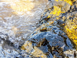 volcanic rocks on the shore of the sea wet by the waves and with a sea snail in the middle. Macro image