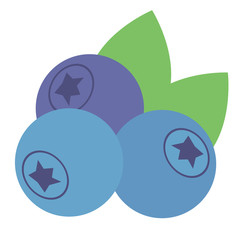blueberry flat illustration on white