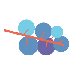 blueberry flat illustration on white