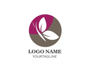 butterfly logo vector template
