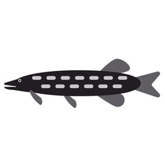 fish flat illustration on white