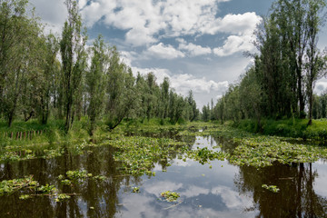 Lago