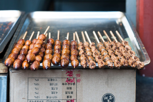 Grill and fried silkworm pupae on sticks in Wangfujing street, a shopping street in Beijing, China