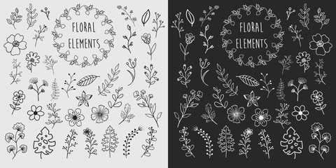 Hand Drawn Floral Elements
