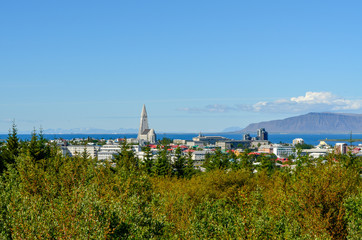 View of Reykjavik Iceland from overlooking hill