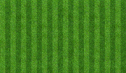 Green grass field background for soccer and football sports. Green lawn pattern and texture background. Close-up.