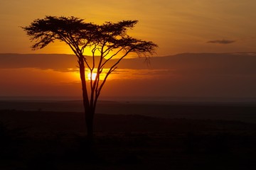 Fototapeta na wymiar Kenya January 2019 - Masai-Mara sunrise early morning
