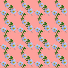 Fototapeta na wymiar Briar, wild rose. Seamless pattern texture of flowers. Floral background, photo collage