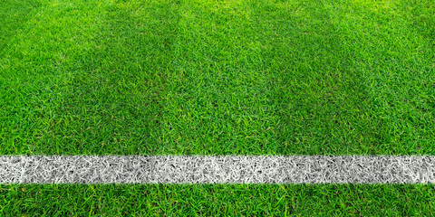 Soccer line in green grass of soccer field. Green lawn field pattern for sport background.