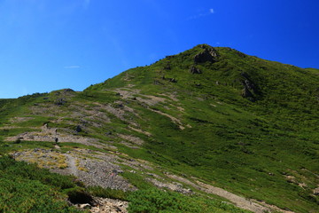 Fototapeta na wymiar 南アルプス光岳（てかりだけ）への道　縦走路から見る南アルプス南部の山々　茶臼岳