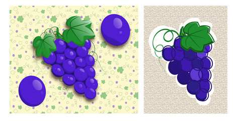 Grape objects and seamless background set: editable grape designs in 2 different styles, plus seamless pattern designs and textures included	