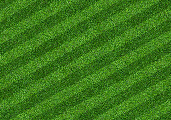Fototapeta na wymiar Green grass field background for soccer and football sports. Green lawn pattern and texture background. Close-up.