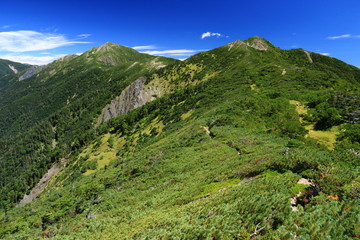 Fototapeta premium 南アルプス光岳への道 縦走路から見る南アルプス南部の山々 茶臼岳と上河内岳
