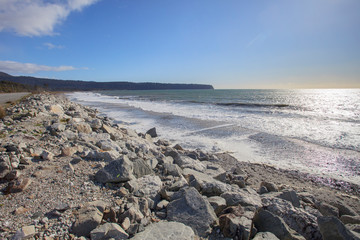 bruce bay beach west coast south island new zealand