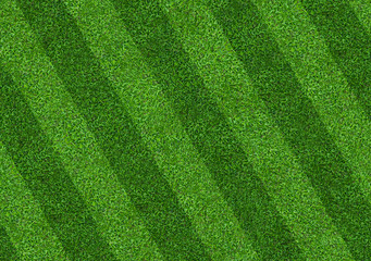 Plakat Green grass field background for soccer and football sports. Green lawn pattern and texture background. Close-up.