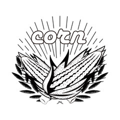 corn hand drawn vektor
