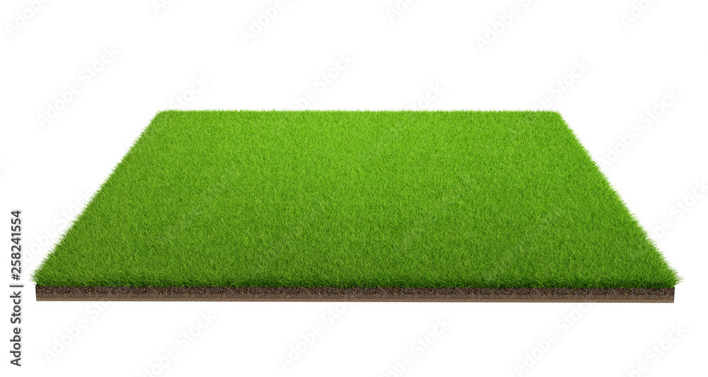 Fototapete 3d rendering of green grass field isolated on a white background with clipping path. Sports field.