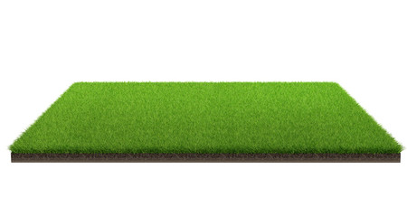 3d rendering of green grass field isolated on a white background with clipping path. Sports field.