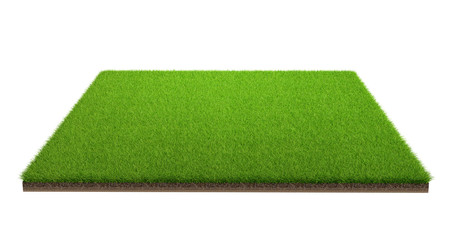 3d rendering of green grass field isolated on a white background with clipping path. Sports field.