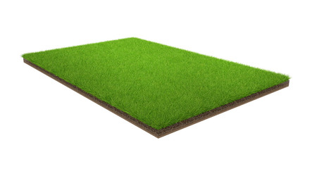 3d rendering of green grass field isolated on a white background with clipping path. Sports field.