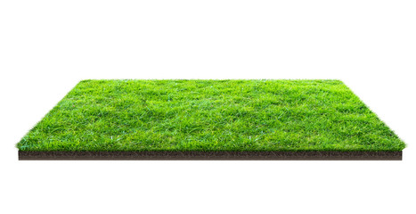 Green grass field isolated on white with clipping path. Sports field. Summer team games.