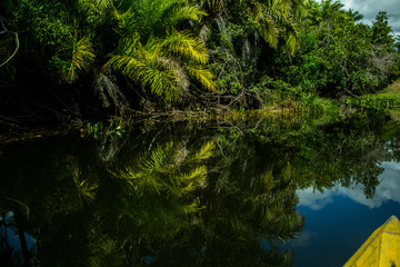 Fototapeta premium Lençóis/Bahia/Brazil-08/29/2018: The Marimbus river wetland is one of the most beautiful tourist attractions of the Chapada Diamantina