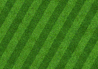 Green grass field background for soccer and football sports. Green lawn pattern and texture...