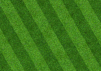 Obraz na płótnie Canvas Green grass field background for soccer and football sports. Green lawn pattern and texture background. Close-up.