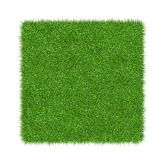 3D Render of green grass. Natural texture background. Fresh spring green grass. isolated on white background.