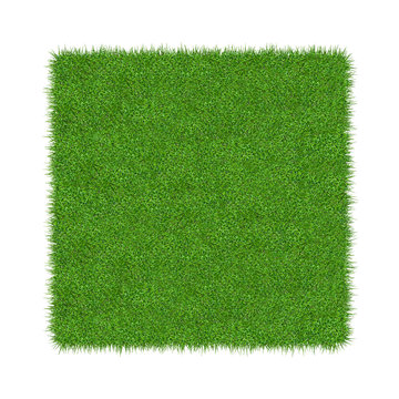3D Render of green grass. Natural texture background. Fresh spring green grass. isolated on white background.