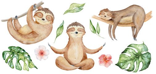 Sloth bears watercolor set hand drawn illustration with tropical leaves  © EvgeniiasArt