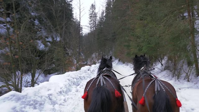Two horses pull a sleigh in a snowy valley.  Aurs point of view