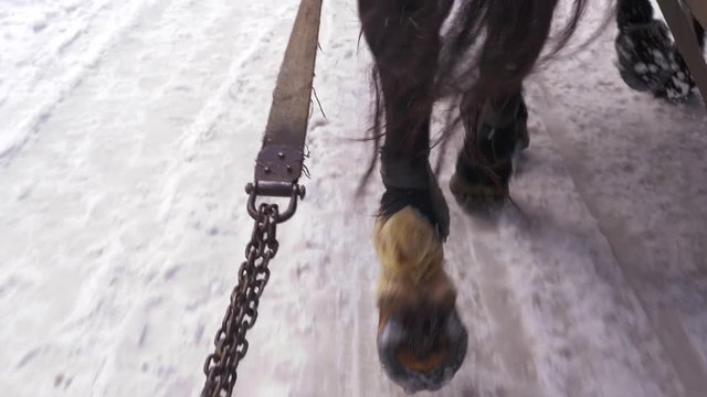 Close up slow motion shot from the back of horse hooves in a gallop on a snowy path. Aurs point of view.