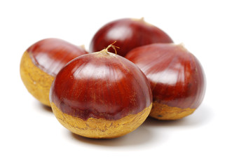 Sweet chestnut on white background