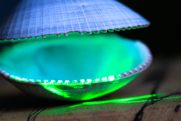 A green laser illuminates an open clam shell.