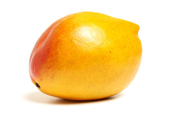 Mango slice cut to cubes close-up isolated on white background